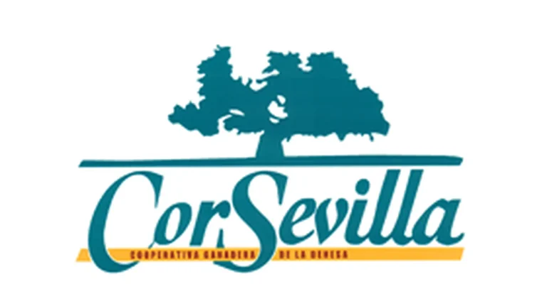 all_logo_logo-corsevilla